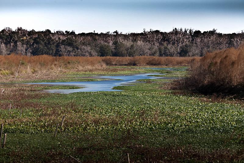 _MG_4165 as Smart Object-1.jpg